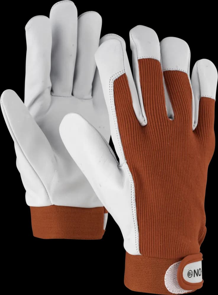 OX-ON Worker Basic 2012